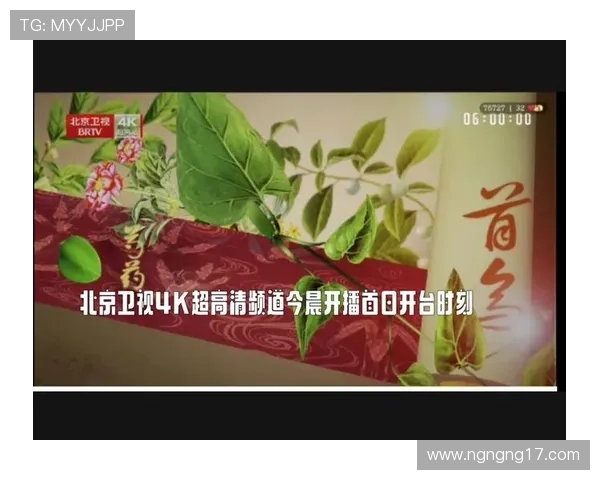 北京卫视官方高清直播平台在线观看入口